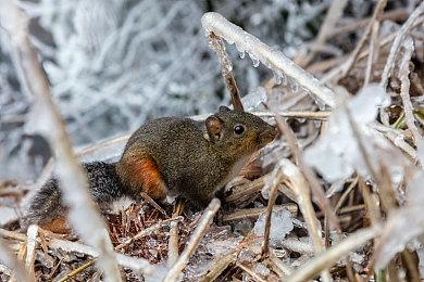 《质量效应：传奇版》非官方补丁发布 修复初代BUG