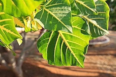 美国1月份游戏销量榜 《最终幻想7：重生》升至第三