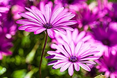 《银河战士：生存恐惧》最新预告片 更新萨姆斯能力